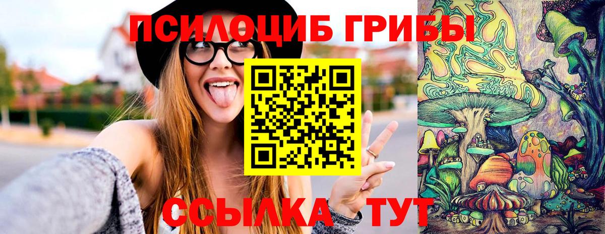 Псилоцибиновые грибы Psilocybine cubensis Химки
