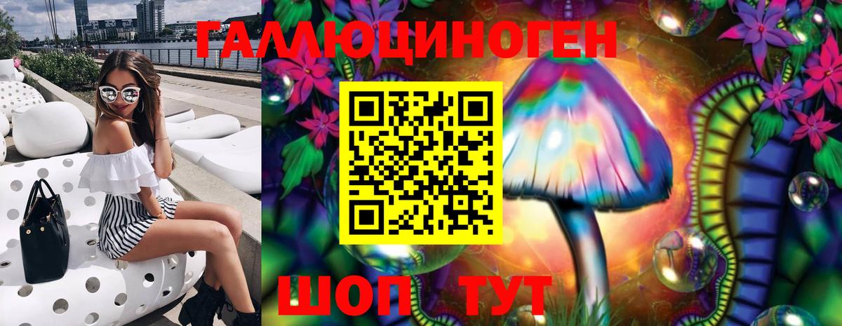 Галлюциногенные грибы Psilocybine cubensis  Псилоцибиновые грибы мицелий  Химки  Вход с VPN 